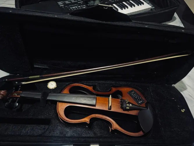Violino Elétrico Eagle EV744 4/4 Completo | Excelente Estado