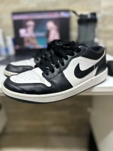 Nike Air Jordan Panda 41