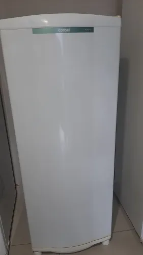 Consul degelo seco 275 litros 