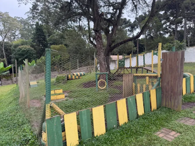 Hotel, creche e centro de treinamento de cães