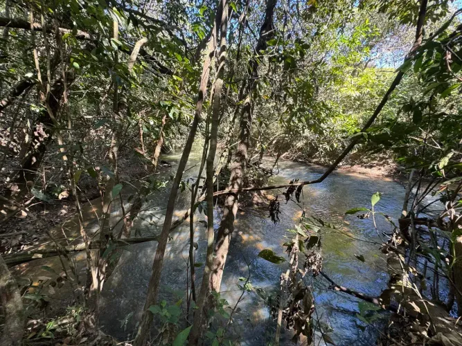 Excelente chácara em Itaberaí 2 hectares beira rio