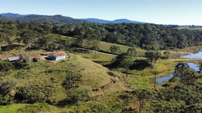 Terreno para plantio e moradia em Rio Rufino.