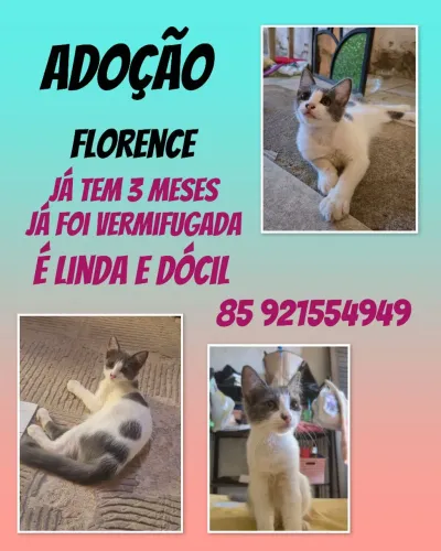 Adoção da Florence