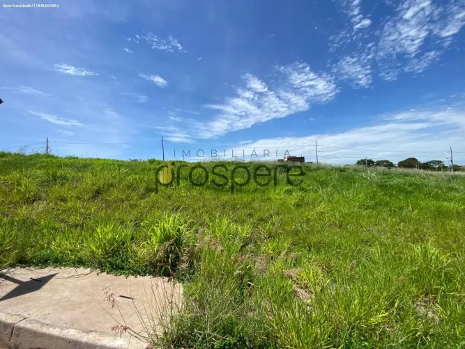 Terreno em Condomínio para Venda em Presidente Prudente, Residencial Parque dos Girassóis
