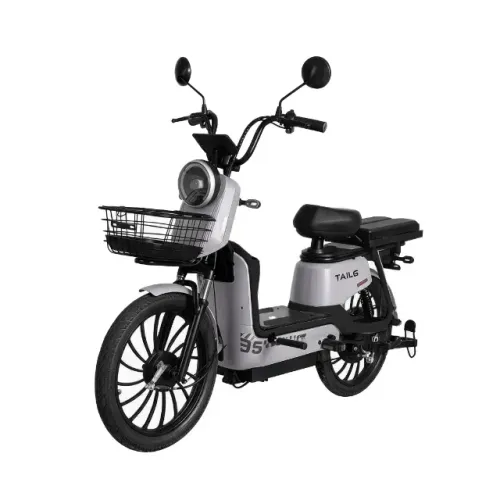 Moto Elétrica TAILG JF35Z 1000W 32km/h Chumbo-Ácido