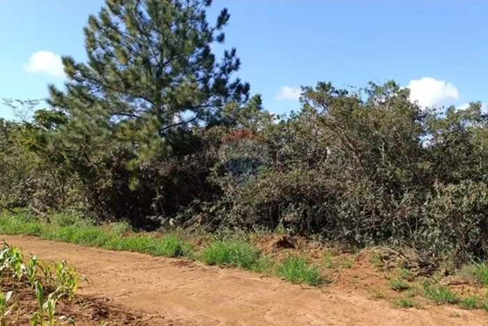 RE/MAX VENDE Sitio de 19,4098 hectares Romaria/ MG, OPORTUNIDADE - R$ 370.000,00