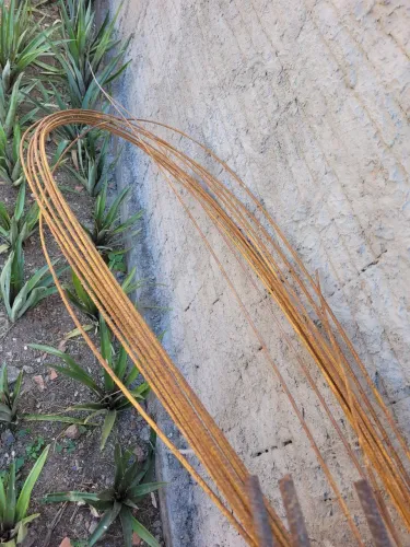 Ferro vergalhão 450 reais 