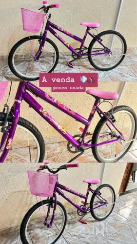 BICICLETA ARO 24