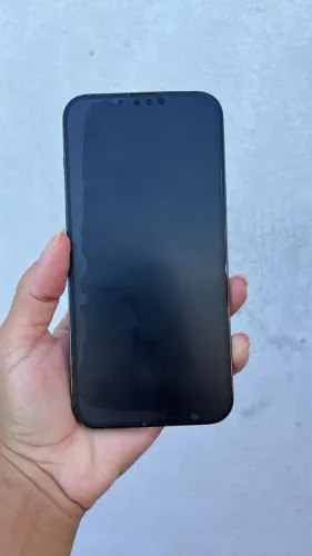 iPhone 13 Pro Max de 256 G