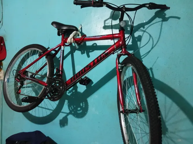 Bicicleta hoston