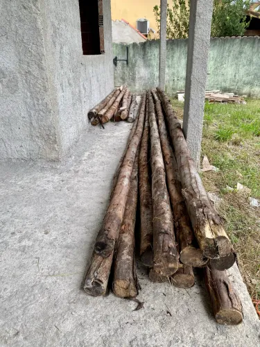 Paus de Escora de Eucalipto - Ideais para Obra e Laje. 