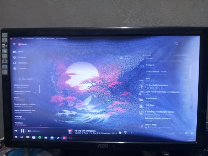Monitor AOC 20" widescreen MANCHADO
