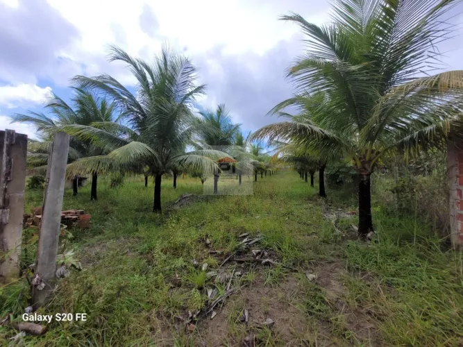 Terreno para Venda em Camaçari, Centro