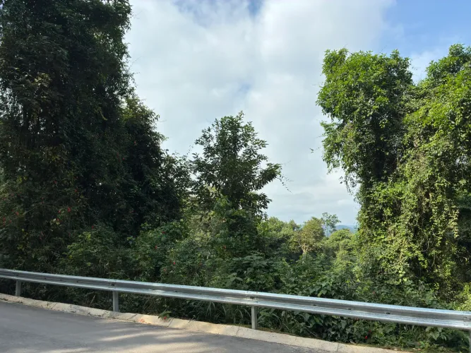 Terreno de 1.173m² em área mista (residencial/comercial) à venda em Mairiporã