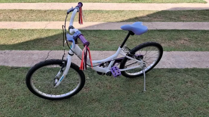 Bicicleta Caloi Aro 20