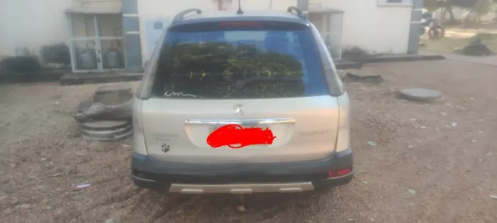 Peugeot 207 SW Escapade 1.6 16V Flex 5P 2009