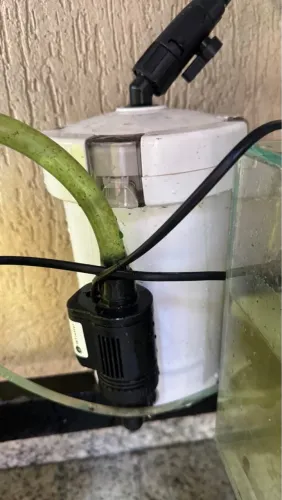 Aquários completos