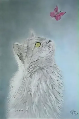 Desenho Gato e Borboleta