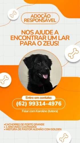ADOÇÃO RESPONSÁVEL 