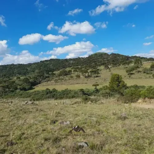 Chácara de 6,5 hectares a venda em Urupema