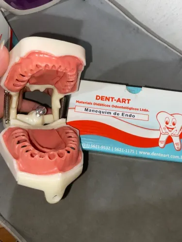 Manequim de Endodontia + Kit de Limas 