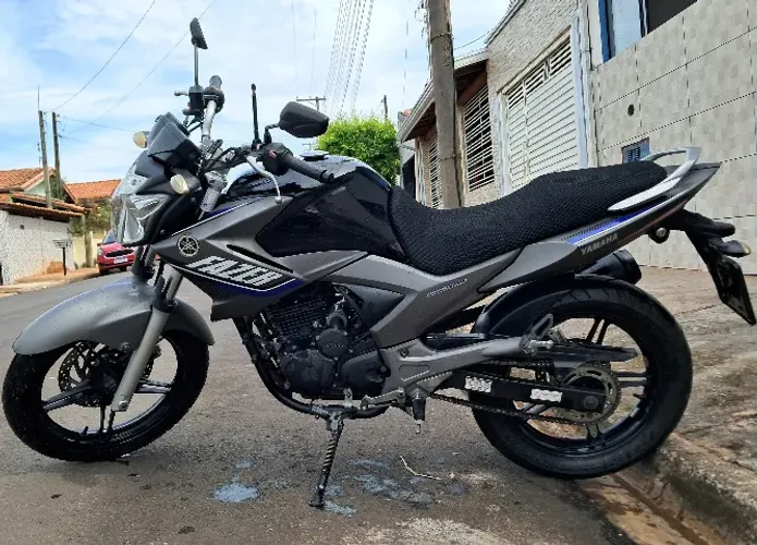 Yamaha Fazer 250 Blueflex 2015