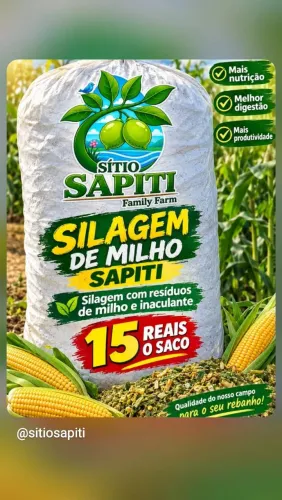 Silagem de milho