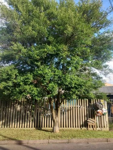 Vendo casa no sitio cercado ou troco por chácara