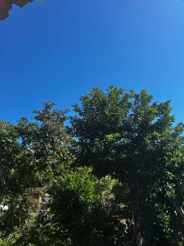 Passo Ponto Comercial - Excelente Oportunidade em Ilha Grande (Vila do Abraão)