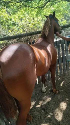 Vendo ou troco