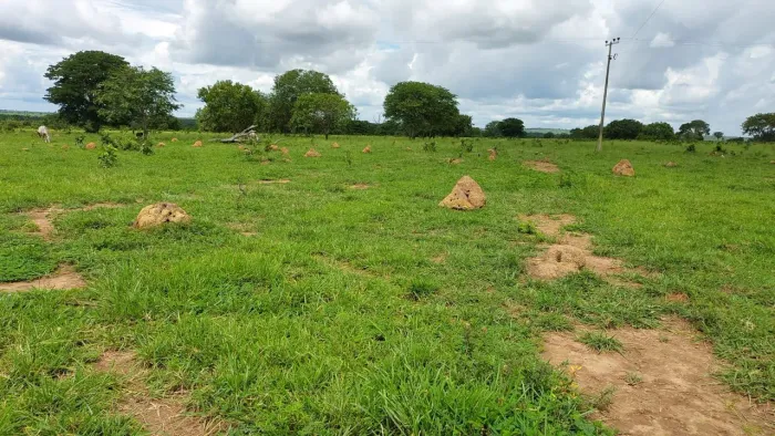 Fazenda com 485 alqueires em santa Tereza Goiás. R$: 100 mil por alq.