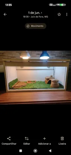 Terrário