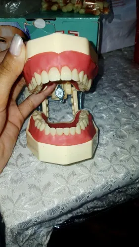 Manequim Odontológico Completo para Periodontia e Dentística