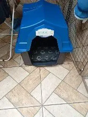 Casinha de cachorro