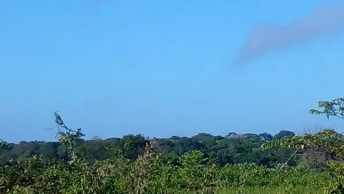 R$ 1.350.000 mil reais 150 hectares há 45 km de Castanhal toda no pasto