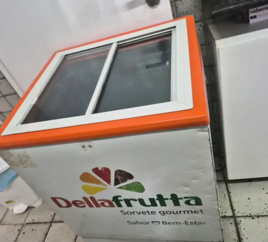 Freezer Ártico 