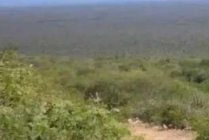 PROPRIEDADES RURAIS