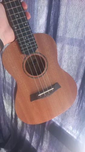 Ukulele Concert Seizi