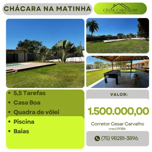 CHÁCARA NA MATINHA - 5,5 TAREFAS