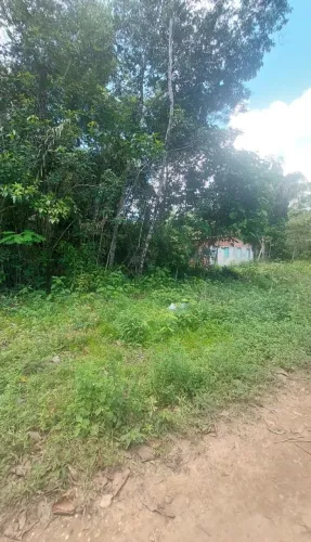 Dois Lotes de terras a 2 km da Praia do Açutuba
