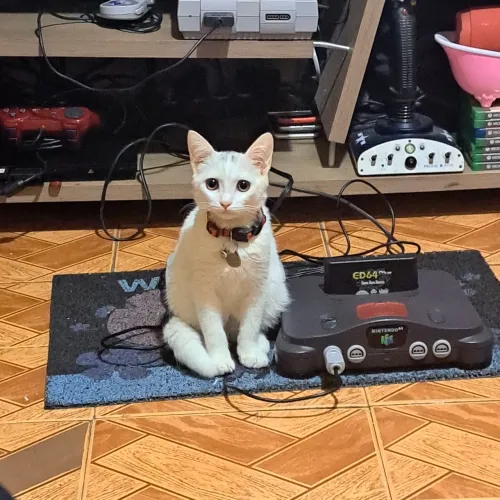 Nintendo 64 Standard Completo
