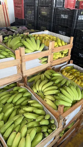 Banana