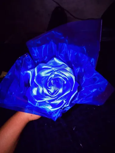 Uma unidade de rosa cetim