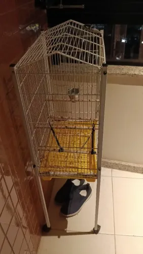 Vendo ambiente para calopsita 