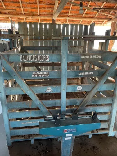 Balança Mecânica para bovinos