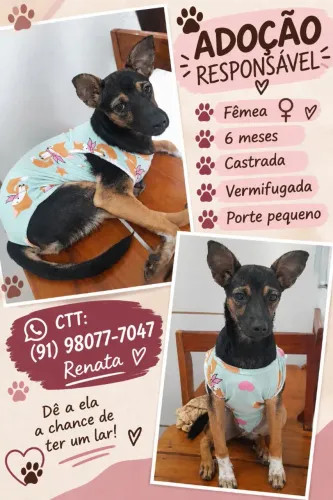 Doação 