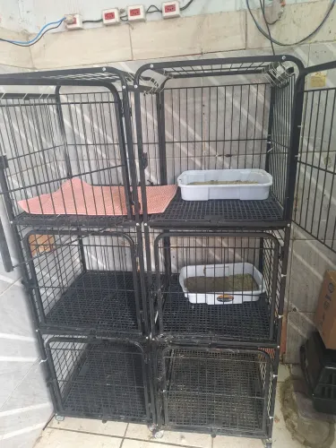 GRADEADO PARA PET