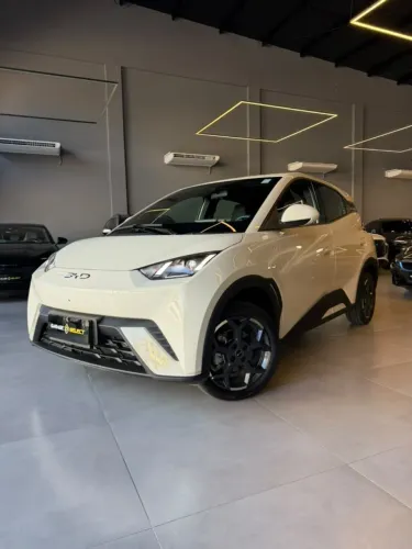 BYD Dolphin Mini (Elétrico) 2027