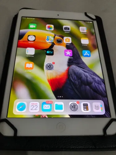 iPad mini 2