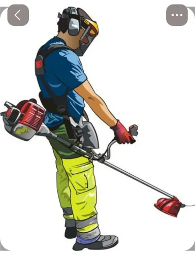 Ermeson silva (LIMPEZA DE QUINTAIS E TERRENOS)